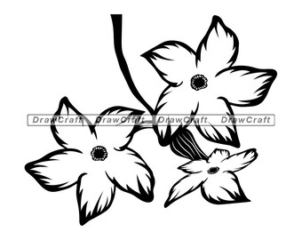 Free Free 272 Jasmine Flower Svg Free SVG PNG EPS DXF File