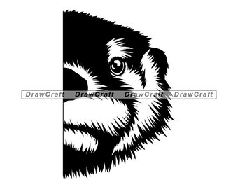 Download Otter Svg Etsy