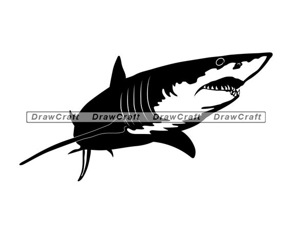 Free Shark Svg Etsy 539 SVG PNG EPS DXF File