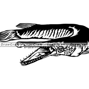 Download Fish Alligator Gar Silhouette Svg Dxf Eps Silhouette Rld Etsy