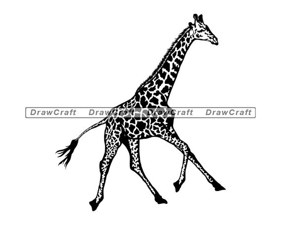 Download Running Giraffe Svg Giraffe Svg Safari Animals Svg Giraffe Etsy