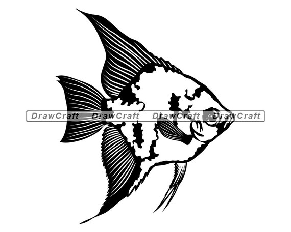 Download Angelfish Svg Aquarium Fish Svg Fish Svg Pet Fish Svg Etsy