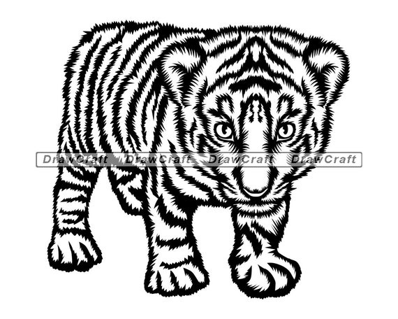 Download Baby Tiger Svg Tiger Svg Tiger Cub Svg Baby Tiger Cut Etsy
