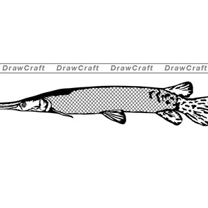 Download Fish Alligator Gar Silhouette Svg Dxf Eps Silhouette Rld Etsy