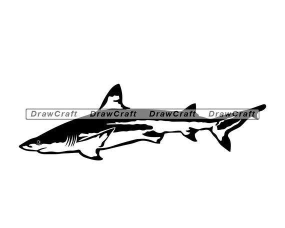 Free Free Free Shark Svg Cut Files 493 SVG PNG EPS DXF File