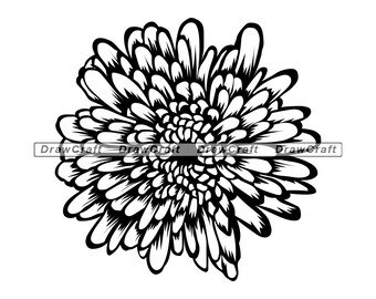 Free Free 221 Mum Flower Svg Free SVG PNG EPS DXF File