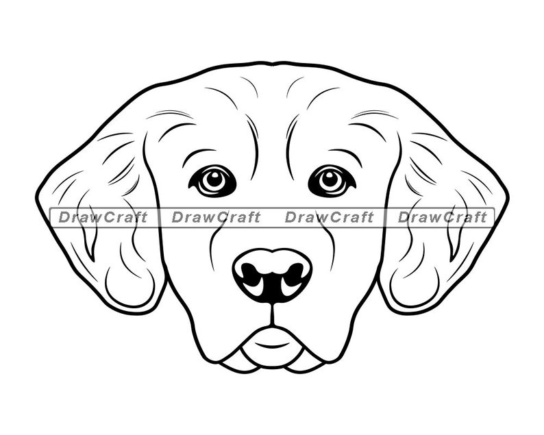 Golden Retriever Kopf SVG Golden Retriever Svg Hund Svg Etsy Golden Retriever Kopf SVG Golden Retriever Svg Hund Svg Etsy