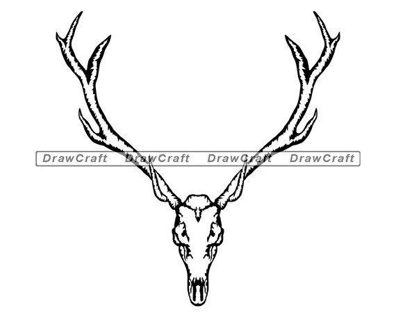 Download Elk Skull Svg Elk Svg Animal Skull Svg Skeleton Svg Hunting Svg Elk Cut Files Elk Files For Cricut Elk Clipart Elk Png Dxf Eps