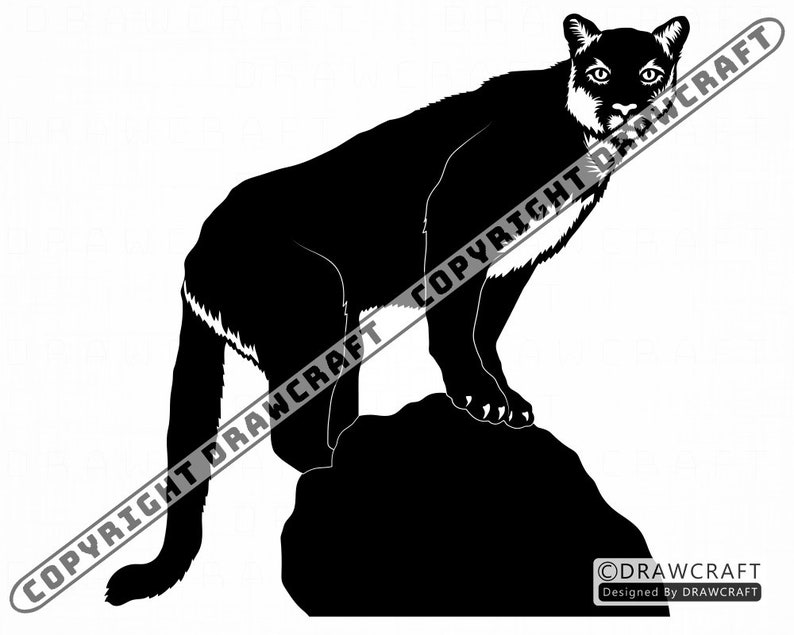 Free Free 333 Mountain Lion Svg SVG PNG EPS DXF File