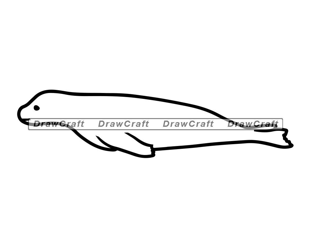 Download Baby Seal Outline Svg Seal Svg Sea Lion Svg Animals Svg | Etsy
