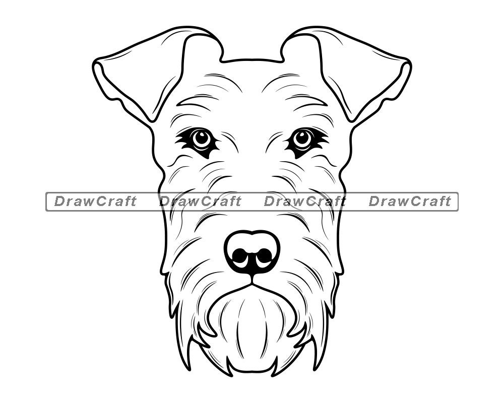 Irish Terrier Head SVG Irish Terrier Svg Dog Svg Irish Etsy