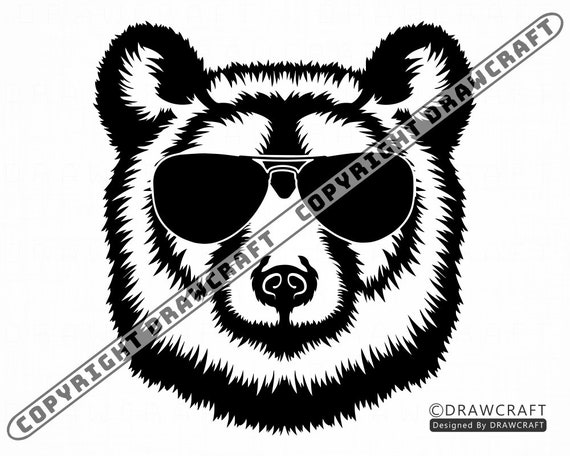 Bear In Sunglasses SVG Bear SVG Cool Bear Svg Bear Cut | Etsy