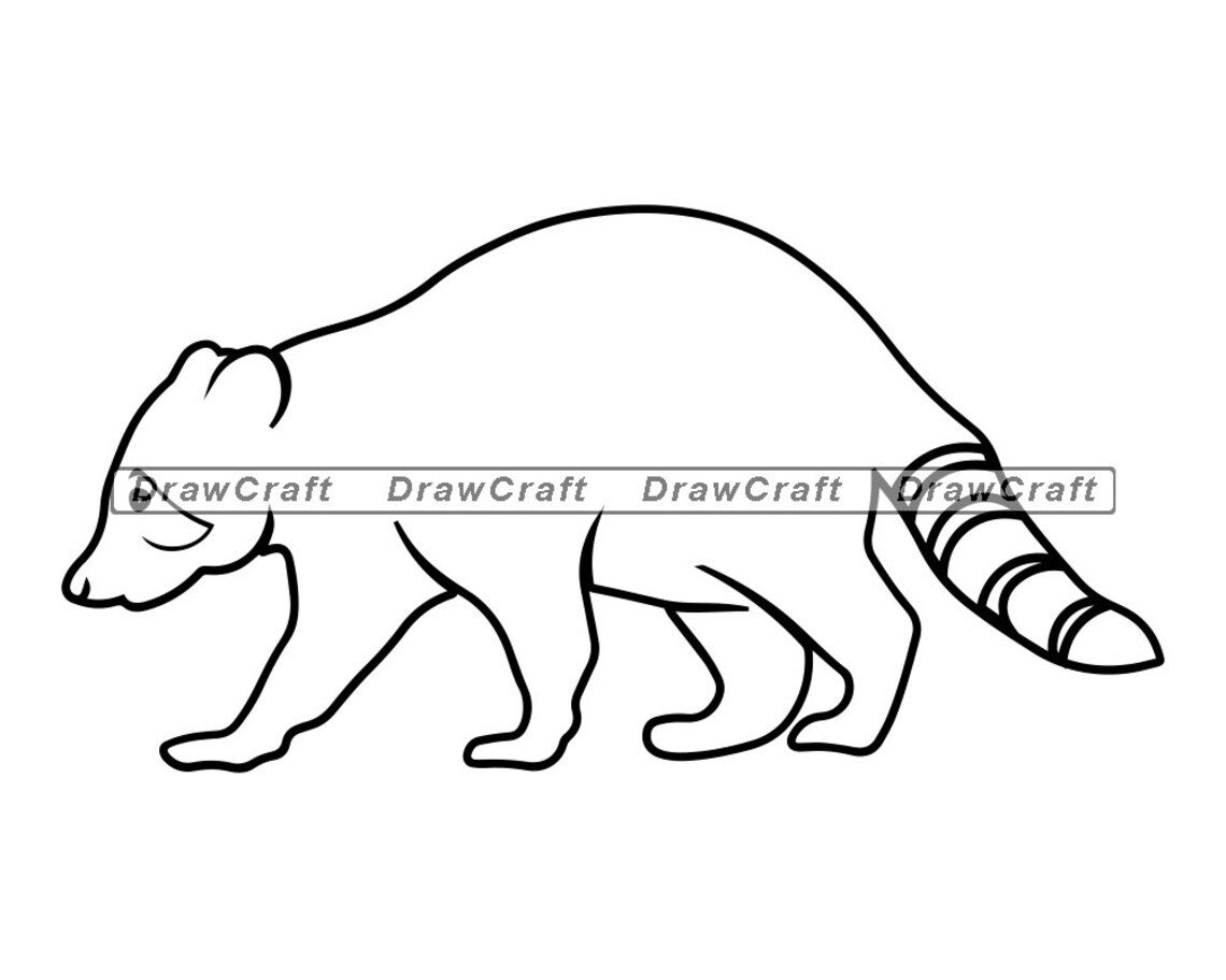 Walking Racoon Outline Svg Racoon Svg Animals Svg Forest | Etsy