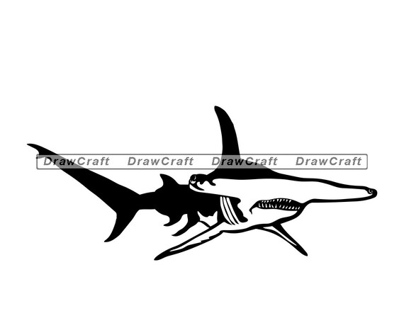 Free Free 270 Clipart Hammerhead Shark Svg SVG PNG EPS DXF File