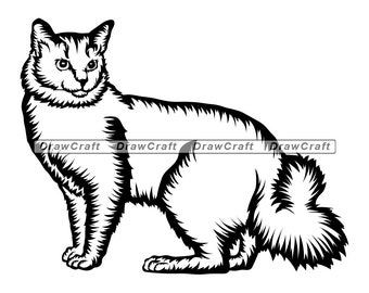 Somali Cat Etsy Somali Cat Etsy