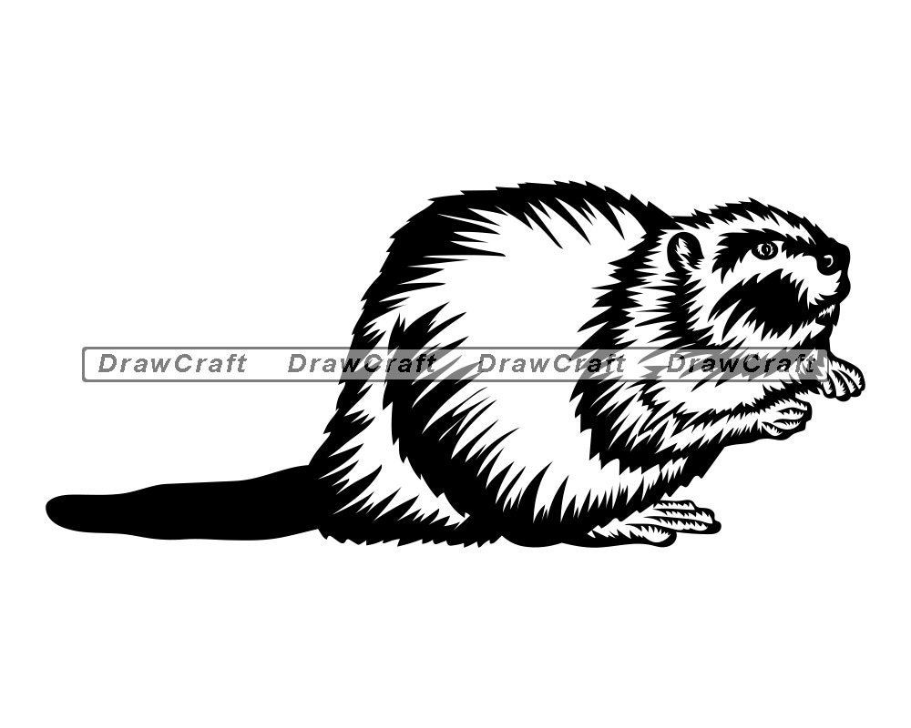 Beaver 2 SVG Beaver SVG Animals Svg Beaver Cut Files Etsy
