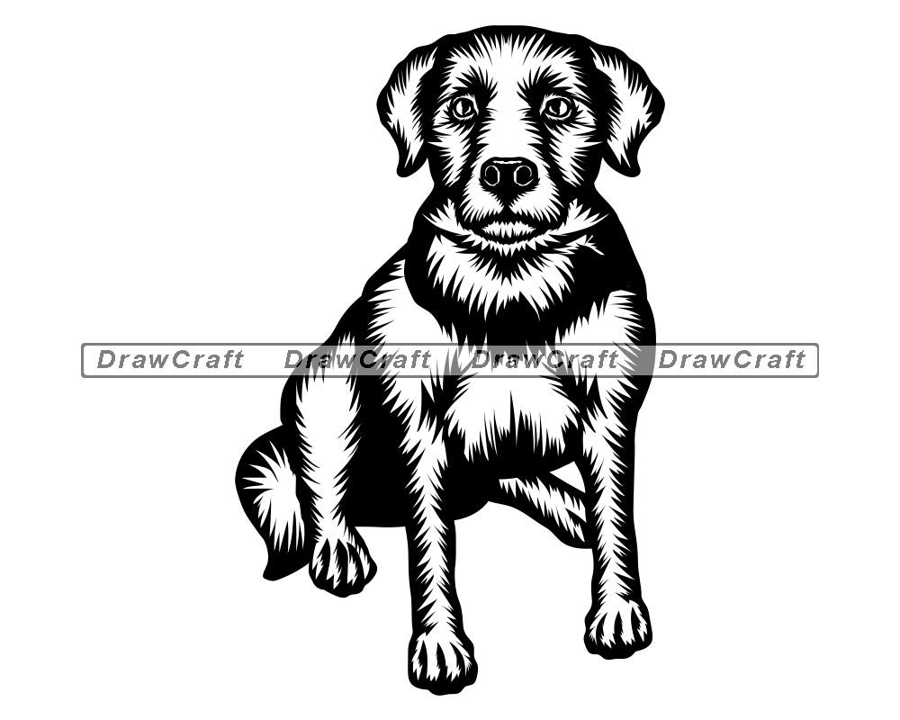 Sitzender Labrador Retriever Svg Labrador Retriever Svg Sitzender Labrador Retriever Svg Labrador Retriever Svg