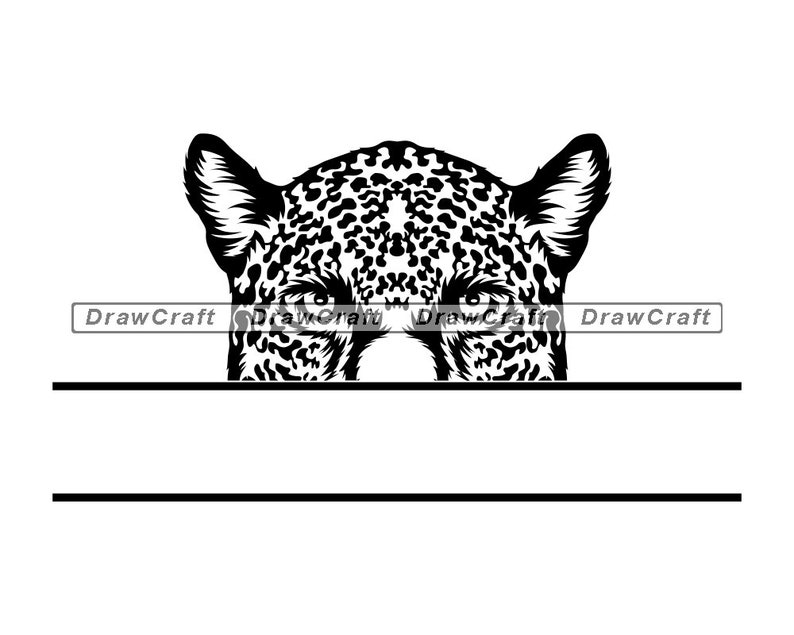 Download Peeking Jaguar Svg Jaguar Svg Peeking Animals Svg Monogram Etsy