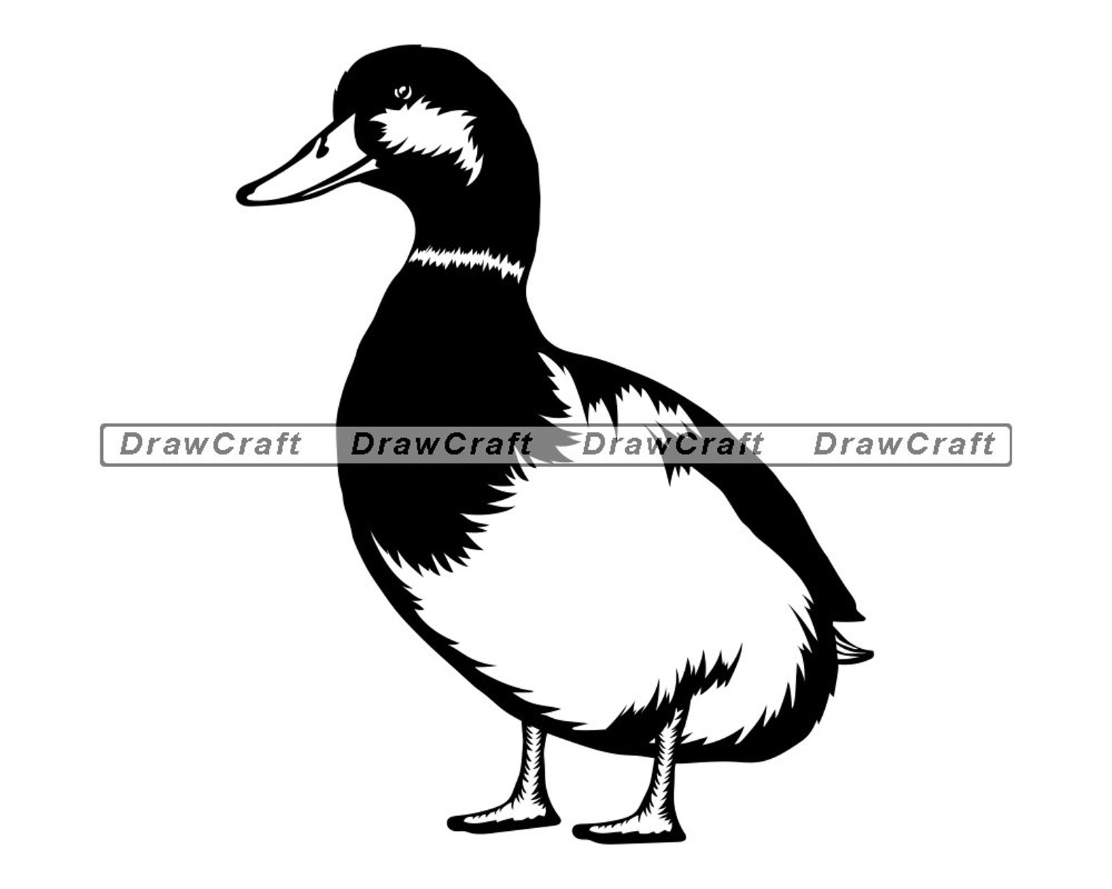 Mallard Duck SVG Duck SVG Animals Svg Mallard Duck Cut | Etsy