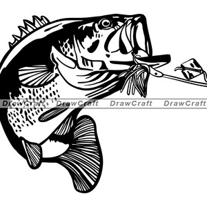 Download Alligator Gar Svg Fish Svg Fishing Svg Fishing Cut Files Etsy