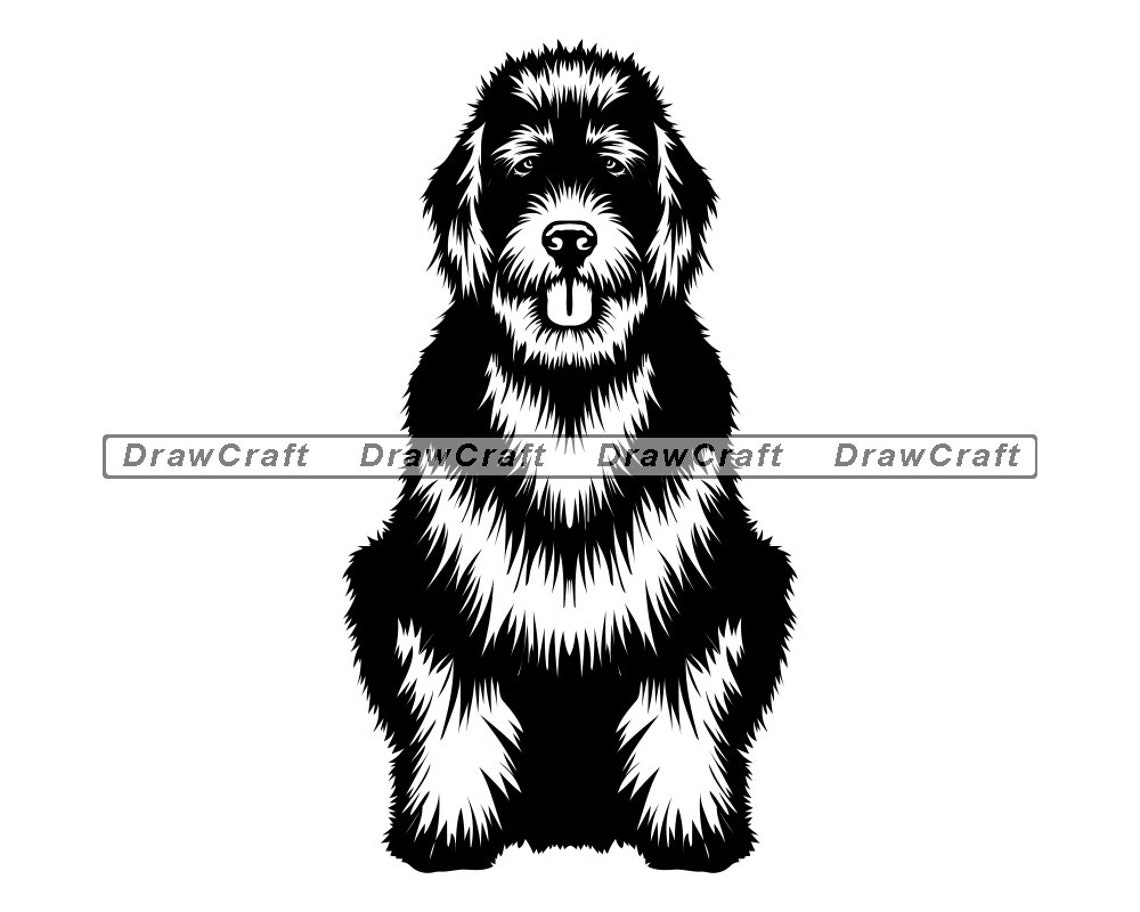 Sitting Bernedoodle SVG Bernedoodle Svg Dog Svg Bernedoodle Etsy