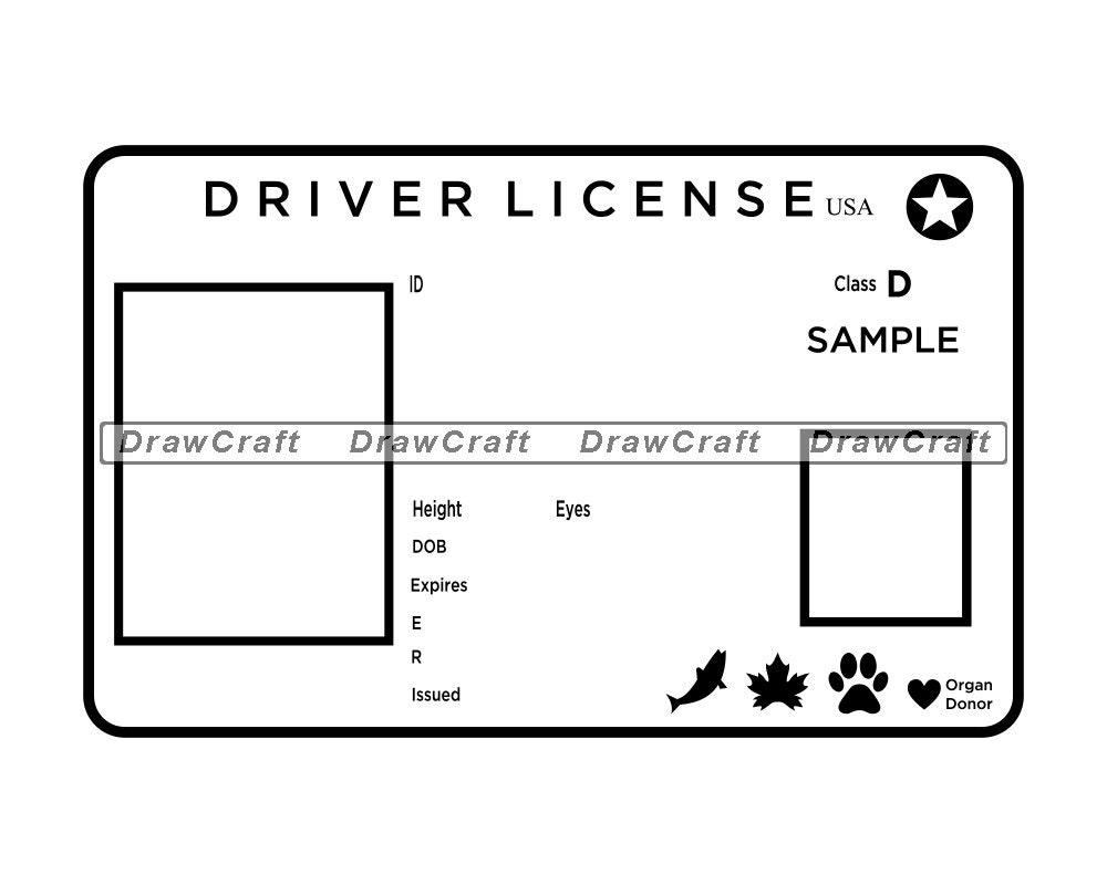 Printable Blank Drivers License Template