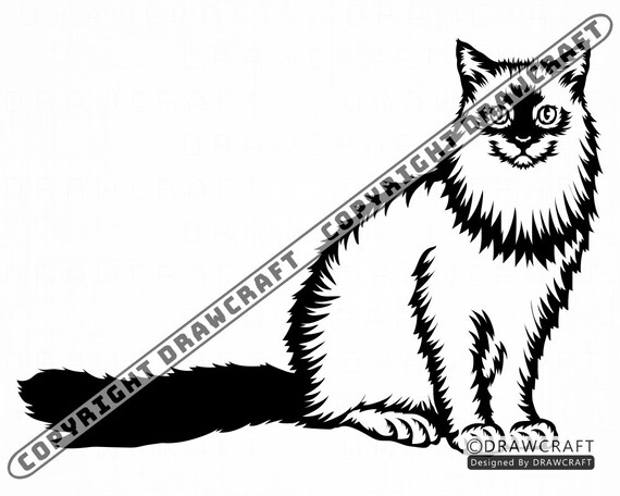Download Ragdoll 2 Svg Ragdoll Cat Svg Cat Svg Pet Svg Ragdoll Cat Etsy PSD Mockup Templates