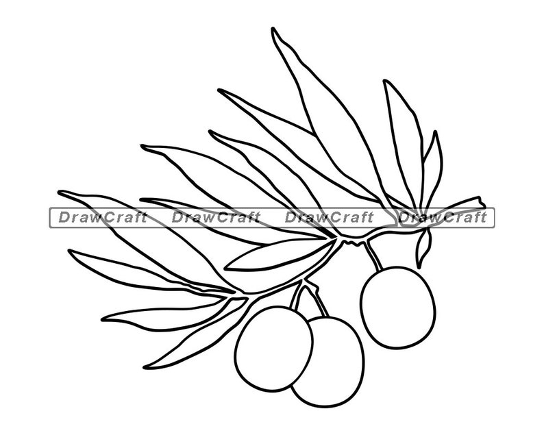 Olives Outline Svg Olives Svg Olives Cut Files Olives Files | Etsy