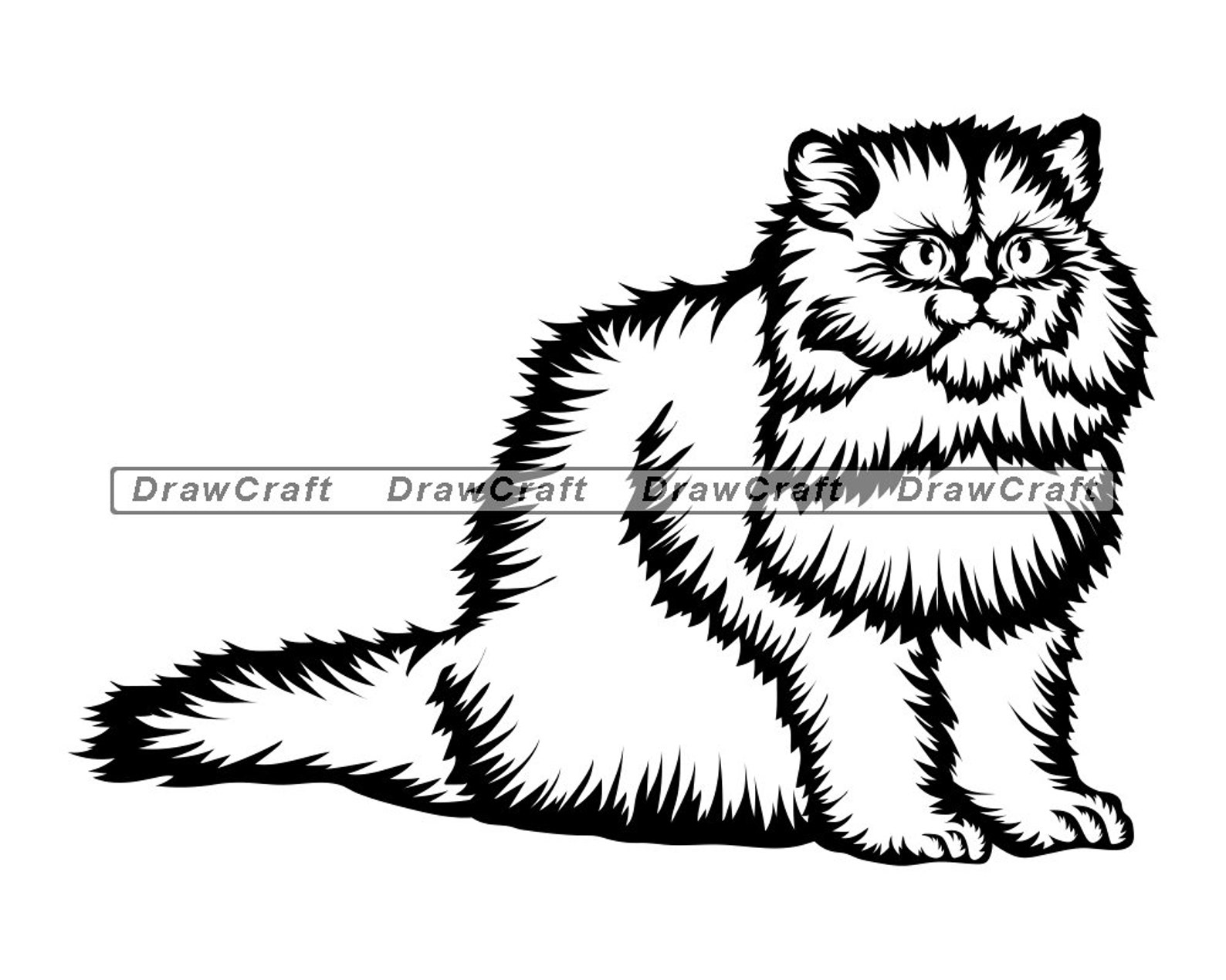Persian Cat 2 SVG Persian Cat Svg Cat Svg Pet Svg Cat Cut Etsy Persian Cat 2 SVG Persian Cat Svg Cat Svg Pet Svg Cat Cut Etsy