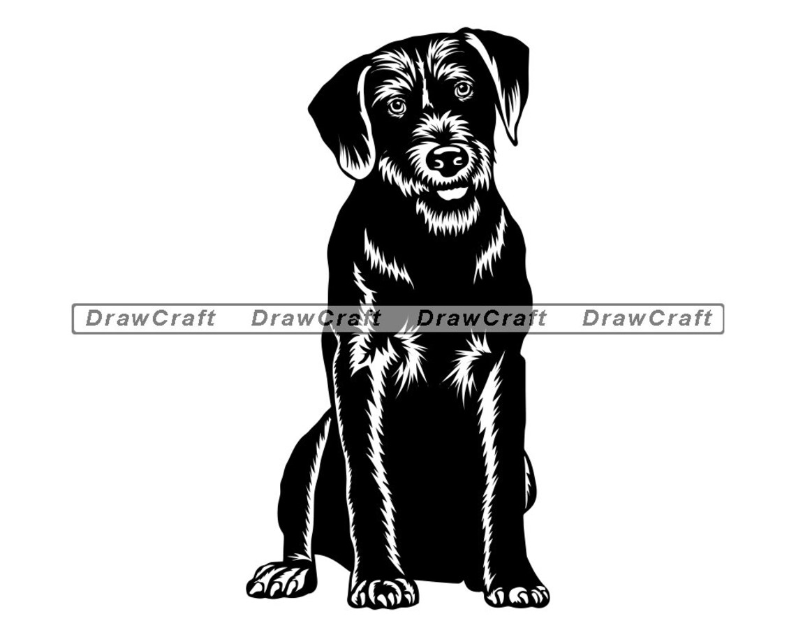 Sitting German Wirehaired Pointer SVG German Wirehaired | Etsy