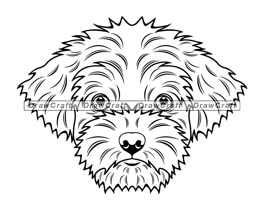 Shorkie Head SVG Shorkie Svg Dog Svg Shorkie Cut Files | Etsy