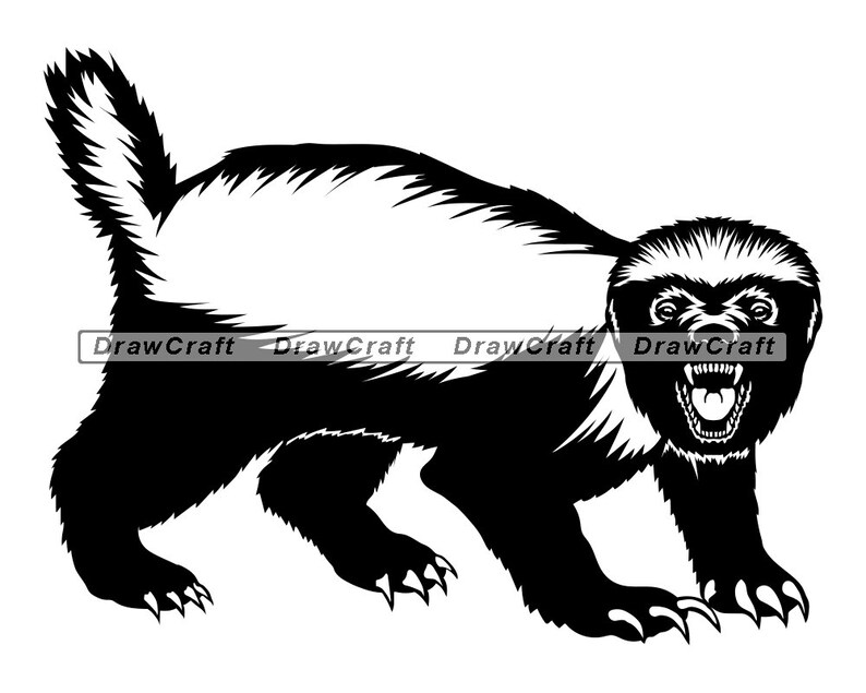 Download Honey Badger 4 SVG Honey Badger SVG Forest Creatures SVG ...
