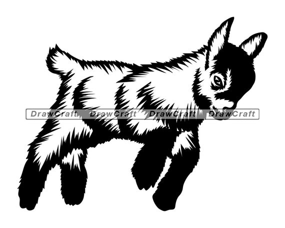 Download Jumping Baby Goat Svg Goat Svg Baby Goat Cut Files Baby Etsy