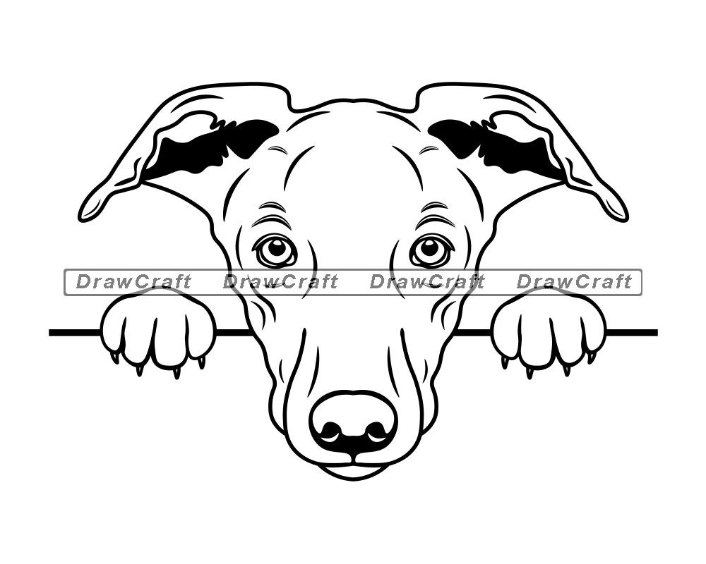 Peeking Whippet SVG Whippet SVG Peeking Dogs SVG Dog Svg | Etsy