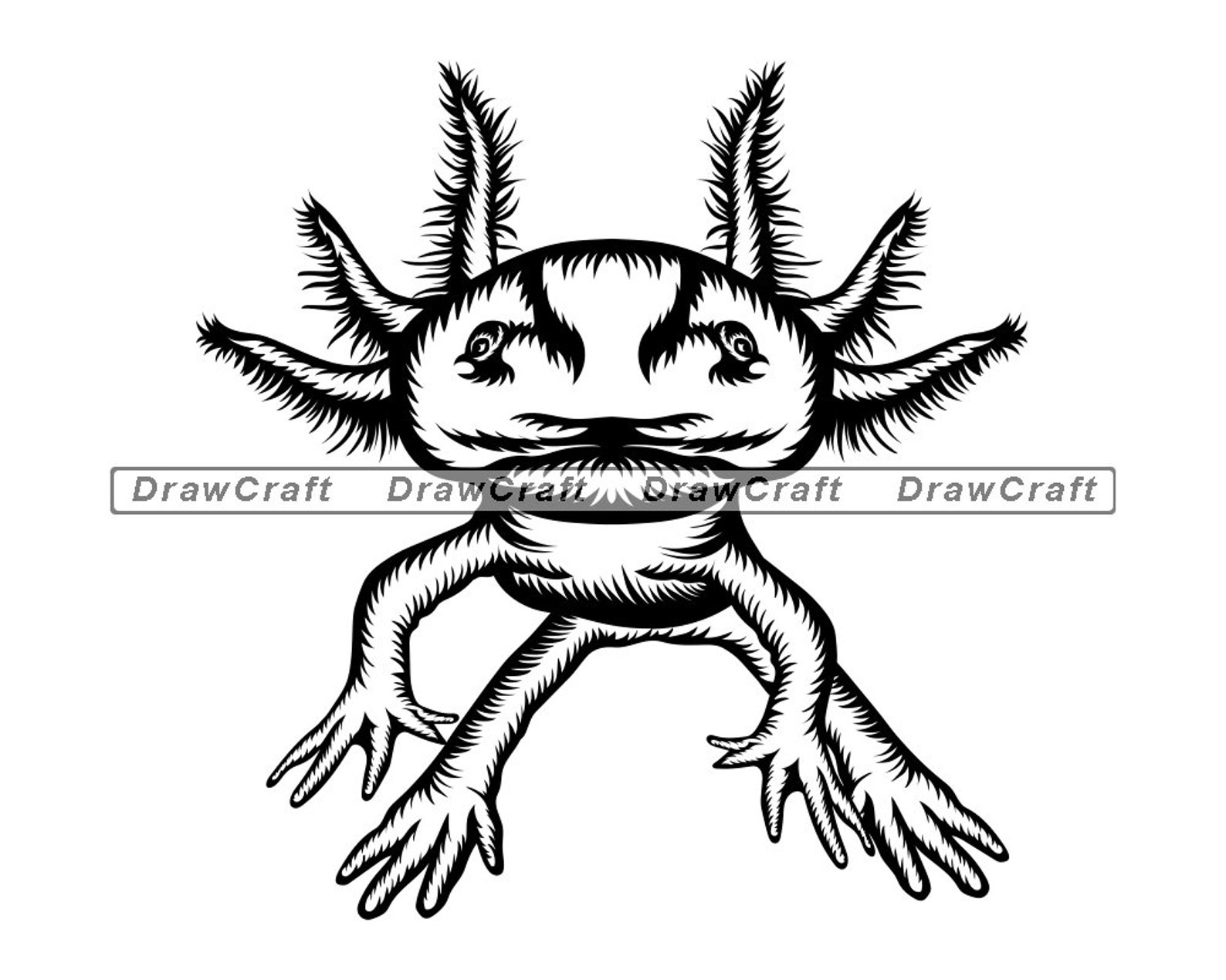 Axolotl Svg Amphibian Svg Axolotl Cut Files Axolotl Files Etsy | Images
