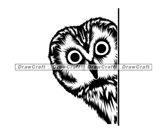 Download Peeking Owl Svg Owl Svg Owl Design Svg Forest Creatures Etsy