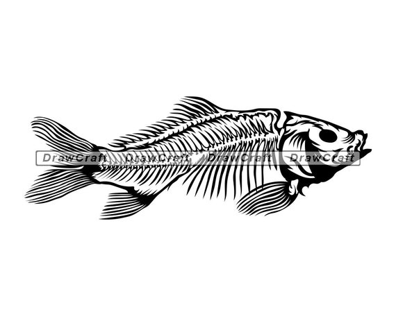 Free Free 79 Carp Fish Svg SVG PNG EPS DXF File