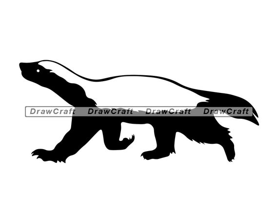 Honey Badger 5 SVG Honey Badger Svg Forest Creatures Svg | Etsy