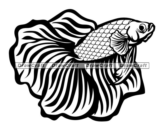 Download Siamese Fighting Fish Svg Aquarium Fish Svg Fish Svg Fish Etsy