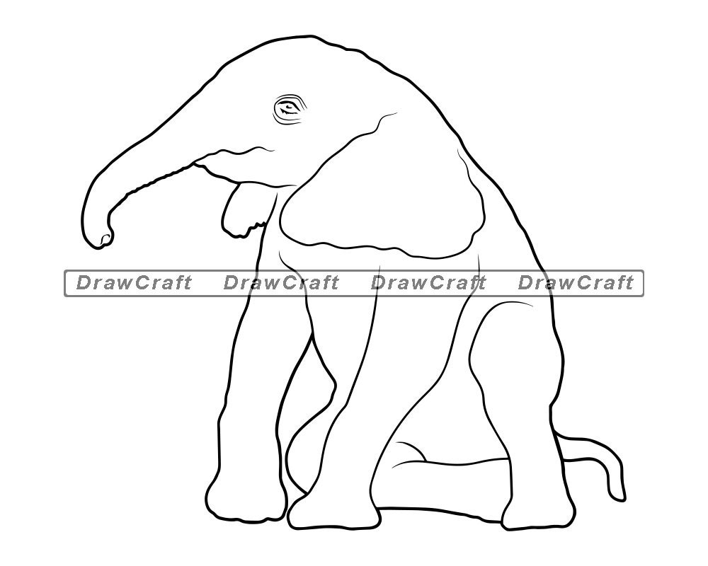 Download Baby Elephant Outline Svg Baby Elephant Svg Elephant Svg ...