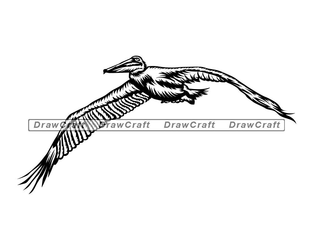 Fliegender Pelikan Svg Pelican Svg Bird Svg Pelican Cut Etsy Fliegender Pelikan Svg Pelican Svg Bird Svg Pelican Cut Etsy