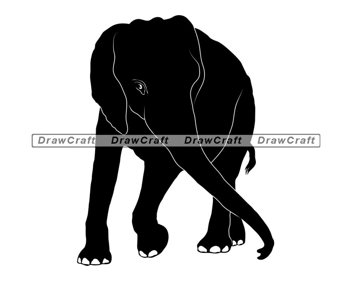 African Elephant Svg Elephant Svg Safari Animals Svg | Etsy