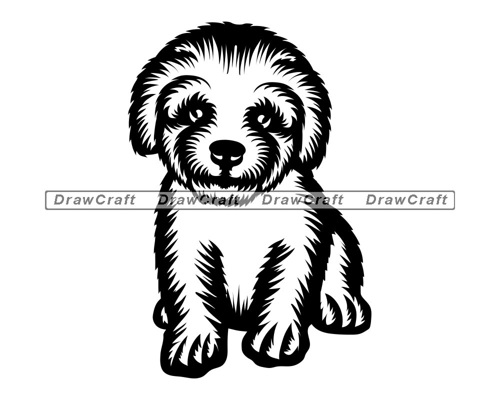 Bichon Frise Puppy Svg Dog Svg Puppy Cut Files Puppy Files | Etsy