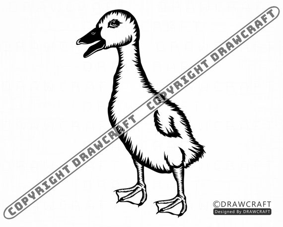 Download Baby Duck Svg Duck Svg Duckling Svg Baby Duck Cut Files Etsy Yellowimages Mockups