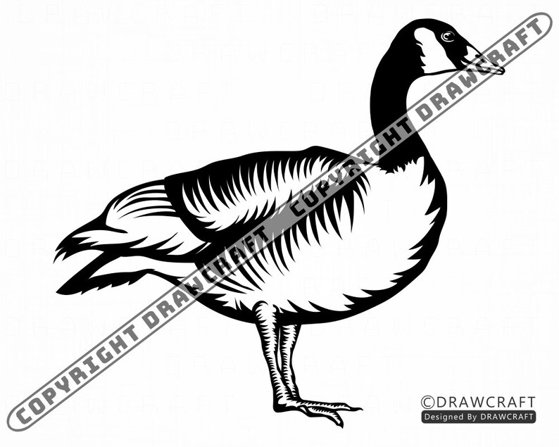 Free Free 322 Snow Goose Svg SVG PNG EPS DXF File