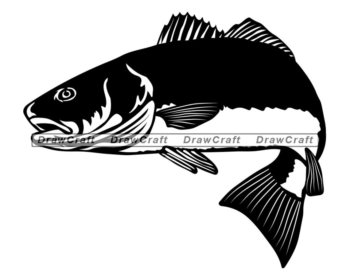 Red Drum Svg Red Drum Fishing Svg Fish Svg Fishing Svg Etsy