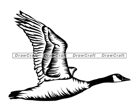 Download Canadian Goose 3 Svg Goose Svg Flying Goose Svg Geese Svg Etsy