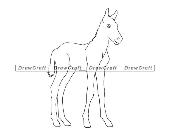 Download Baby Horse Outline Svg Foal Svg Small Horse Svg Horse Cut Etsy
