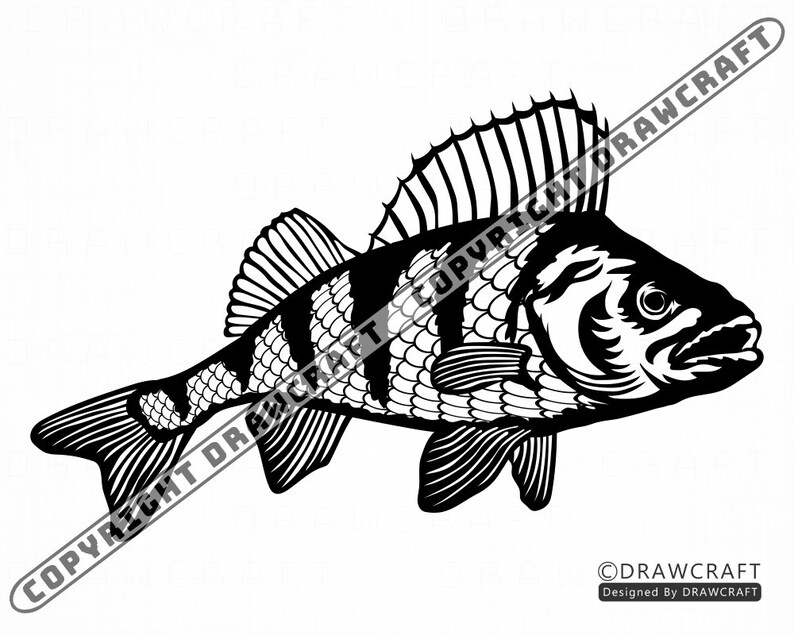 Download Perch Svg Fish Svg Fishing Svg Perch Cut Files Perch Files ...
