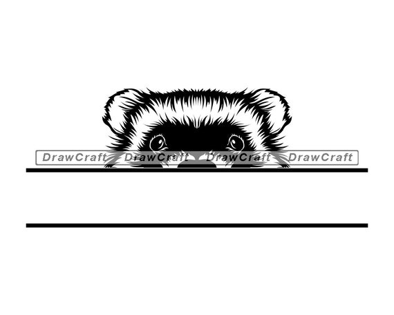 Download Peeking Ferret Svg Ferret Svg Peeking Animals Svg Monogram Etsy